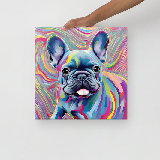 Rainbow Contour Canvas