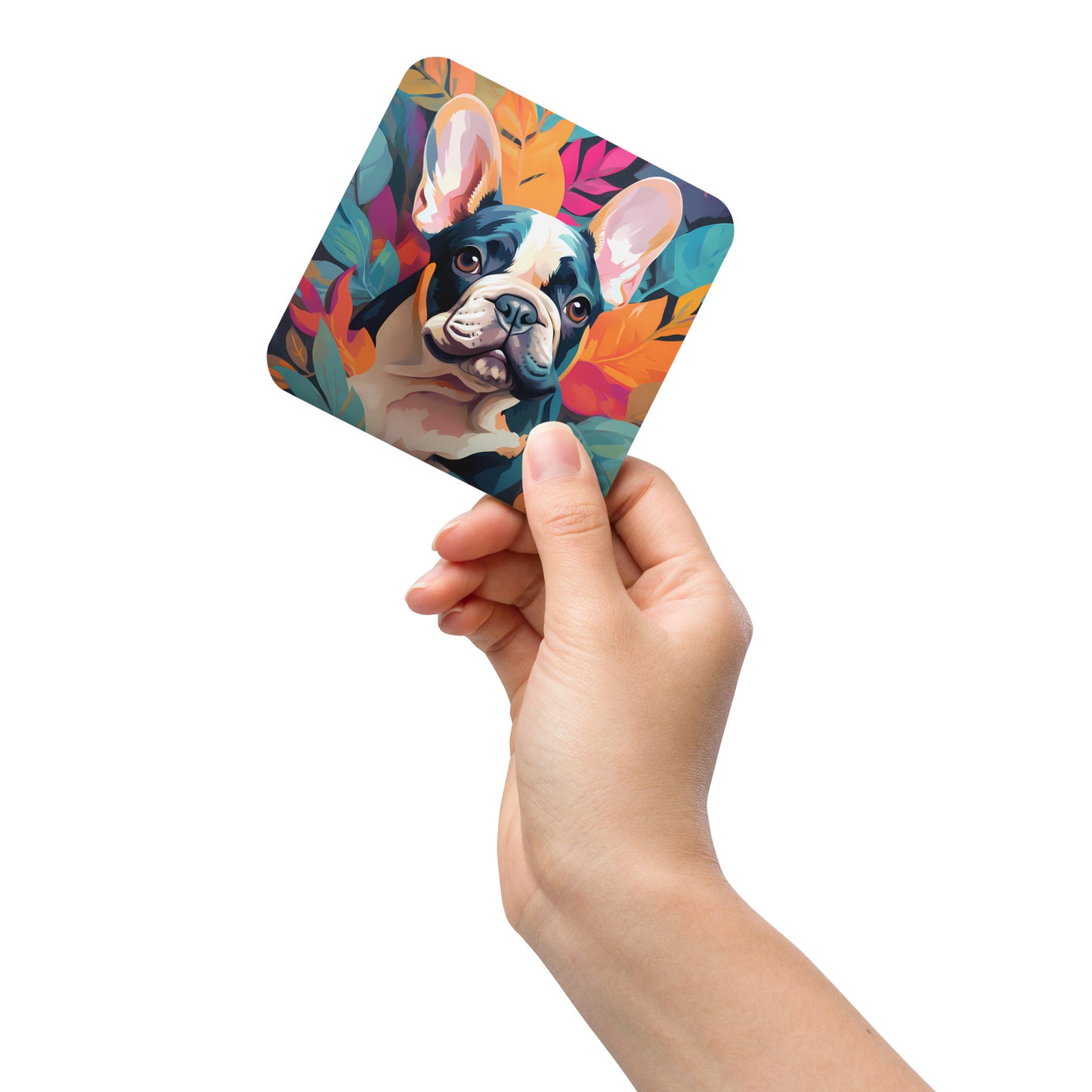 Tropical Pied Coaster