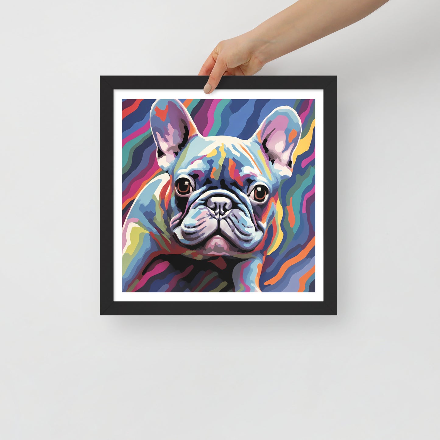 Frenchie in Colorflow Framed Poster