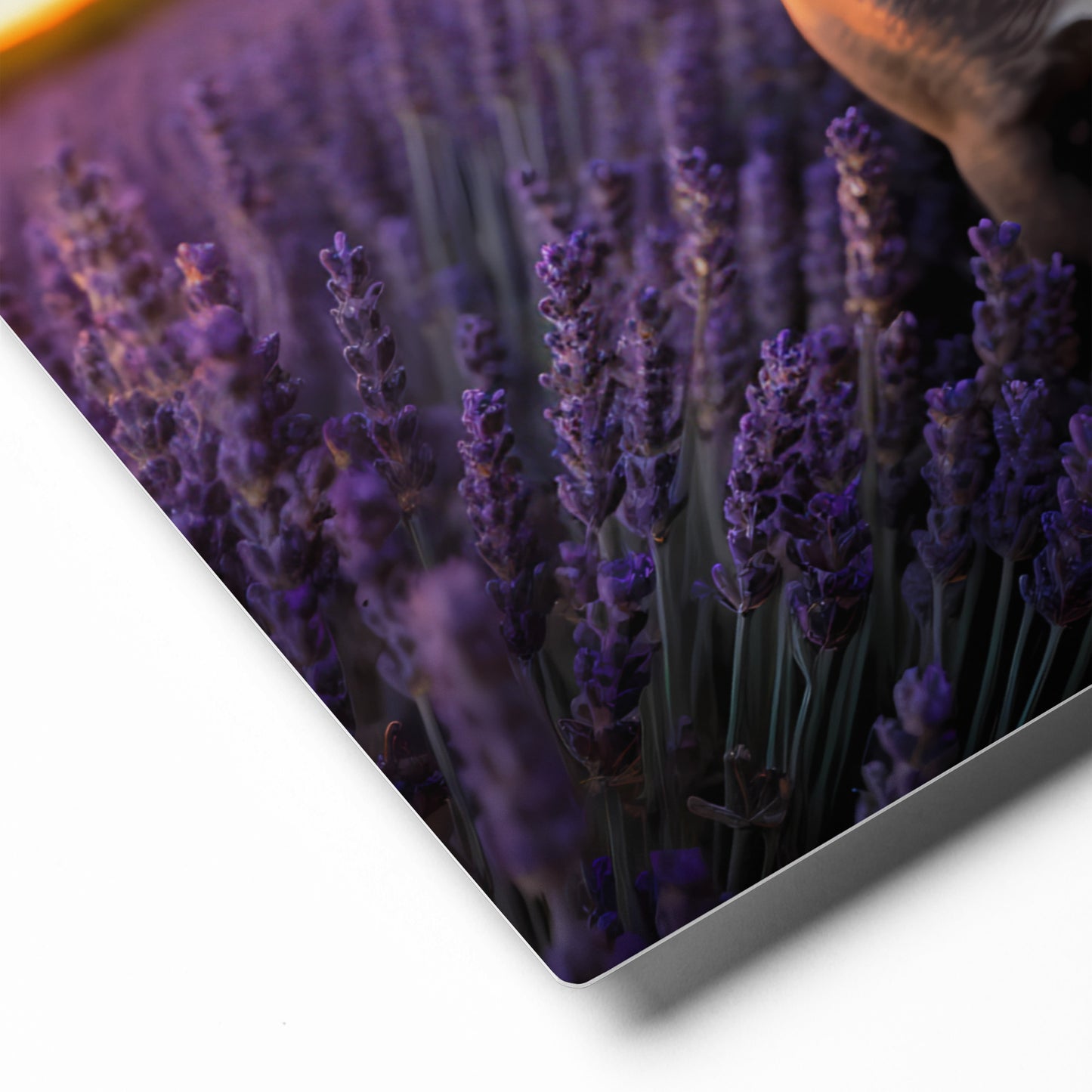 Frenchie's Floral Fantasy - Metal Print