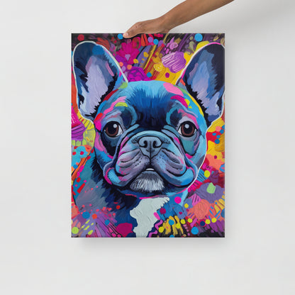 Beautiful Blue Frenchie Canvas