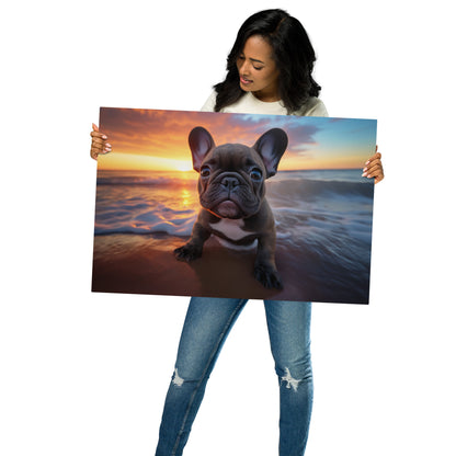 Frenchies by the Beach Metal Print