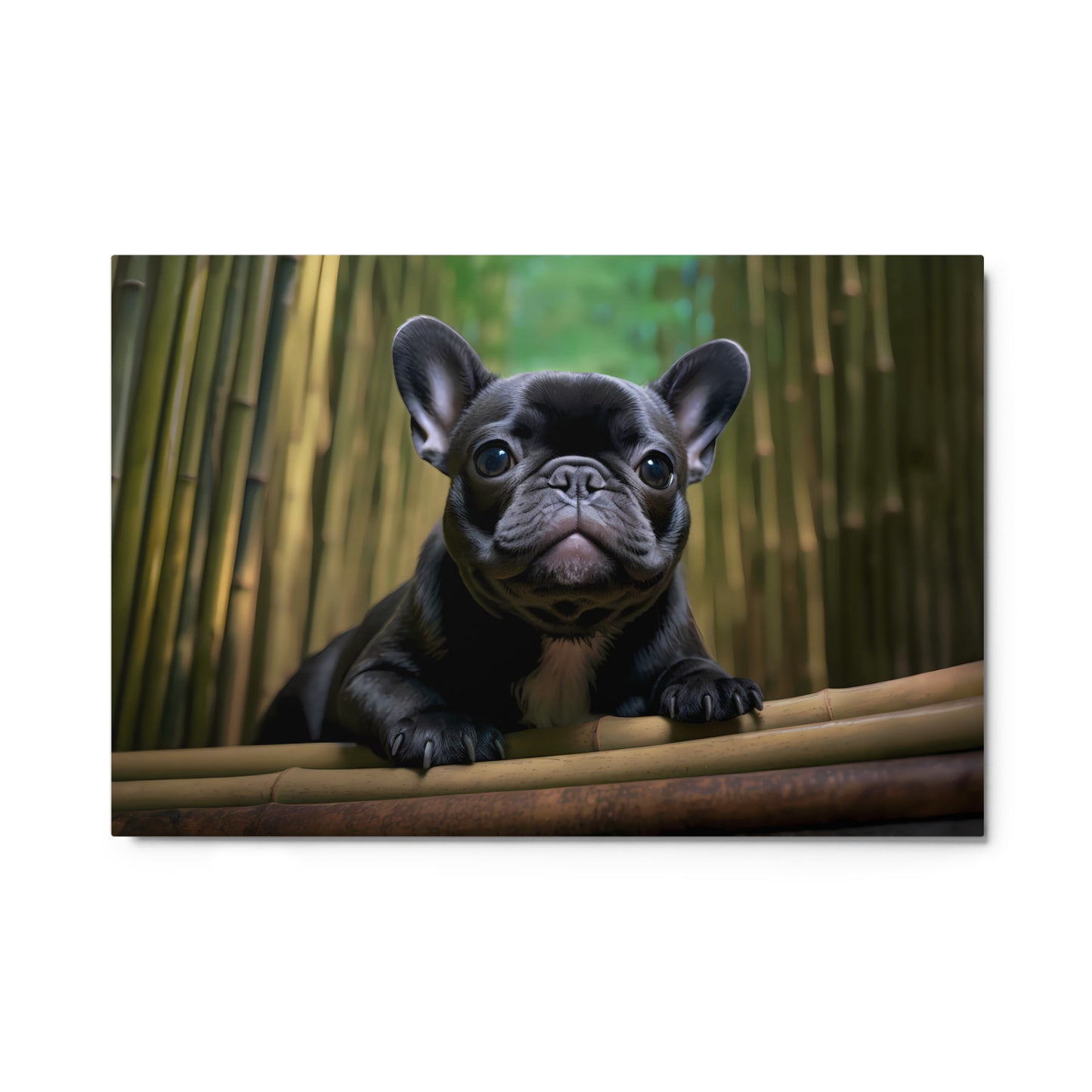 Bamboo Brindle - Metal Print